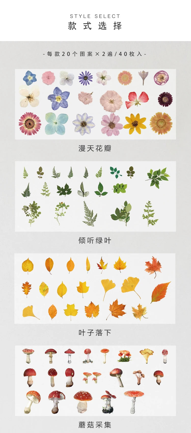 LeafBound Sticker Pack – 40 Pcs - My Neatology 