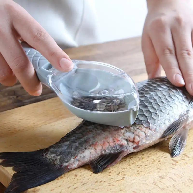 Fish Scales Grater with Cover Design - My Neatology