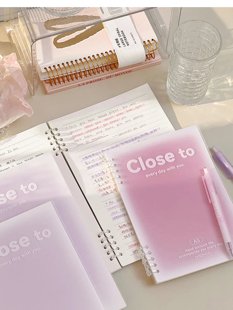 Blush Binder Notebook - My Neatology 