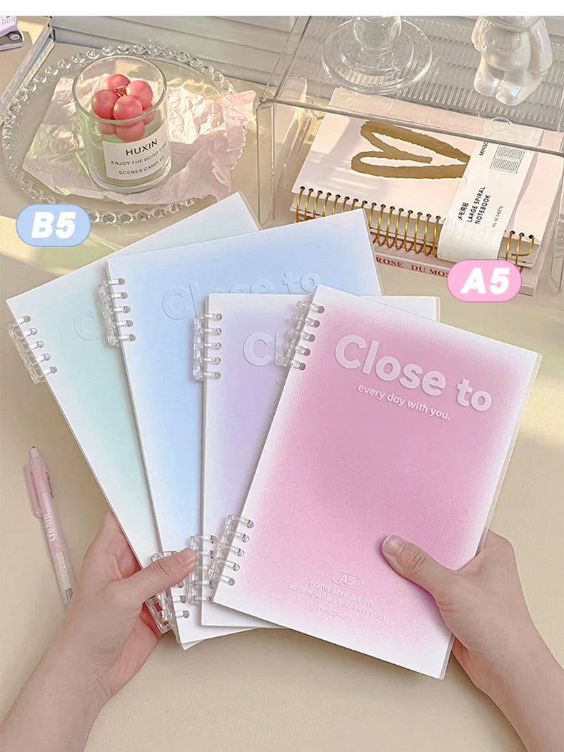 Blush Binder Notebook - My Neatology 